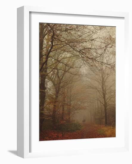 Foggy Forest-Peter Polter-Framed Photographic Print