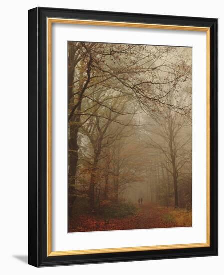 Foggy Forest-Peter Polter-Framed Photographic Print