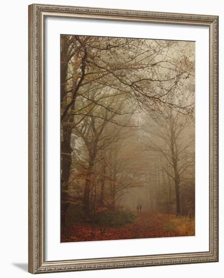 Foggy Forest-Peter Polter-Framed Photographic Print