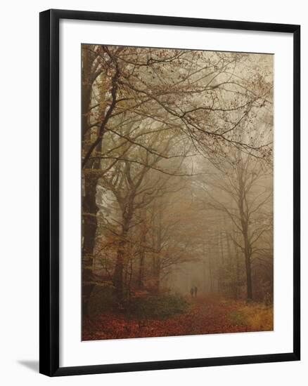 Foggy Forest-Peter Polter-Framed Photographic Print