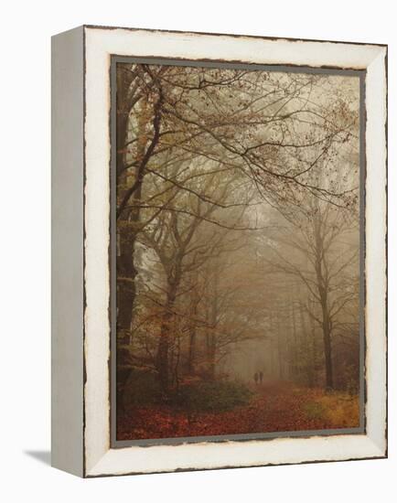 Foggy Forest-Peter Polter-Framed Premier Image Canvas