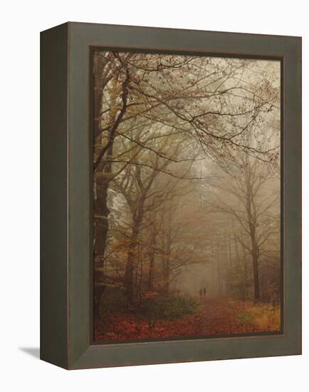 Foggy Forest-Peter Polter-Framed Premier Image Canvas