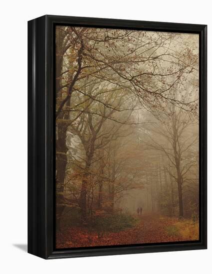 Foggy Forest-Peter Polter-Framed Premier Image Canvas