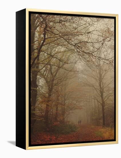 Foggy Forest-Peter Polter-Framed Premier Image Canvas