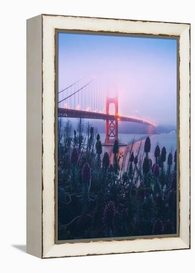 Foggy Golden Gate Bridge and Wildflowers, San Francisco-Vincent James-Framed Premier Image Canvas