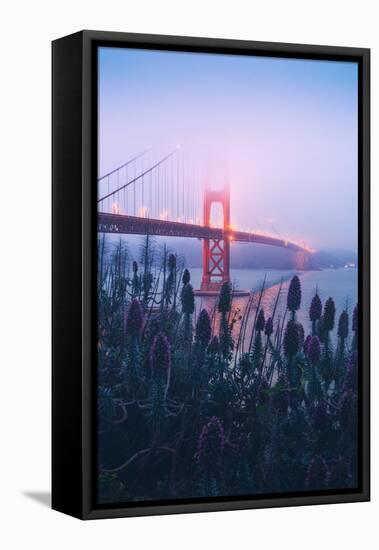 Foggy Golden Gate Bridge and Wildflowers, San Francisco-Vincent James-Framed Premier Image Canvas