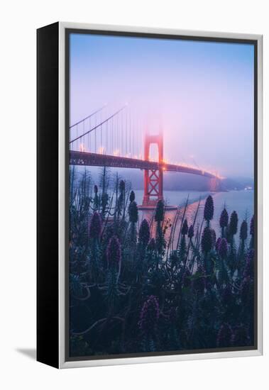 Foggy Golden Gate Bridge and Wildflowers, San Francisco-Vincent James-Framed Premier Image Canvas