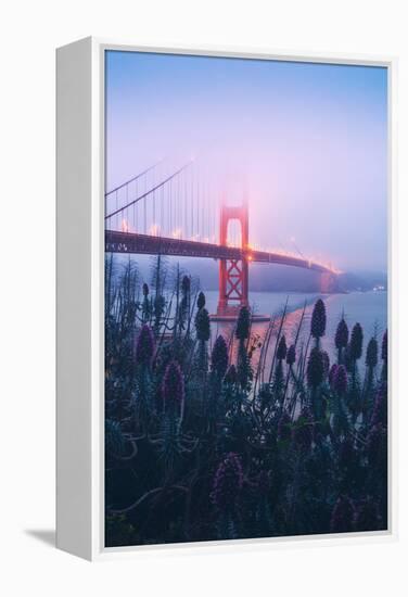 Foggy Golden Gate Bridge and Wildflowers, San Francisco-Vincent James-Framed Premier Image Canvas