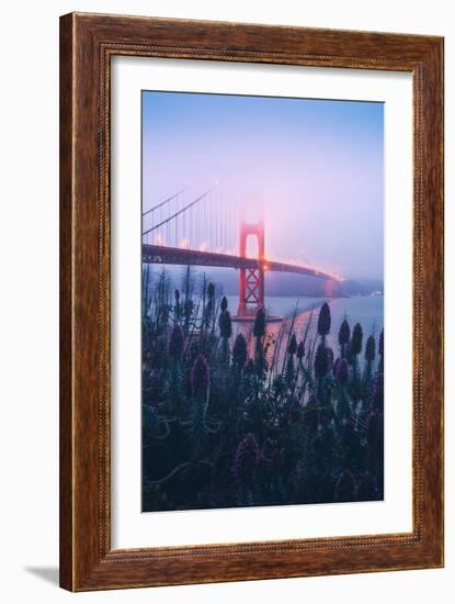 Foggy Golden Gate Bridge and Wildflowers, San Francisco-Vincent James-Framed Photographic Print