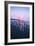 Foggy Golden Gate Bridge and Wildflowers, San Francisco-Vincent James-Framed Photographic Print