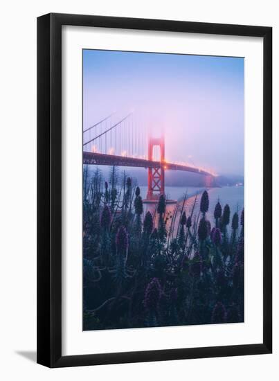 Foggy Golden Gate Bridge and Wildflowers, San Francisco-Vincent James-Framed Photographic Print