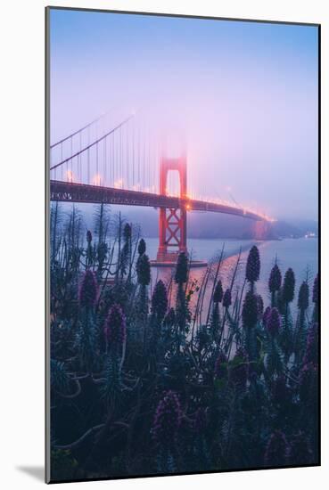 Foggy Golden Gate Bridge and Wildflowers, San Francisco-Vincent James-Mounted Photographic Print