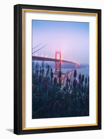 Foggy Golden Gate Bridge and Wildflowers, San Francisco-Vincent James-Framed Photographic Print