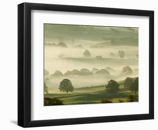 Foggy Grassland-Ashley Cooper-Framed Photographic Print