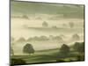 Foggy Grassland-Ashley Cooper-Mounted Photographic Print