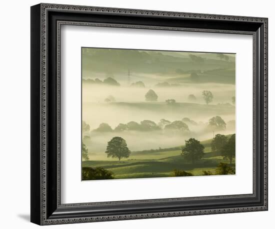 Foggy Grassland-Ashley Cooper-Framed Photographic Print