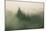 Foggy Green, Trees in Fog at Mount Tam, Bay Area, San Francisco-Vincent James-Mounted Photographic Print