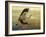 Foggy Heron I-Chris Vest-Framed Art Print