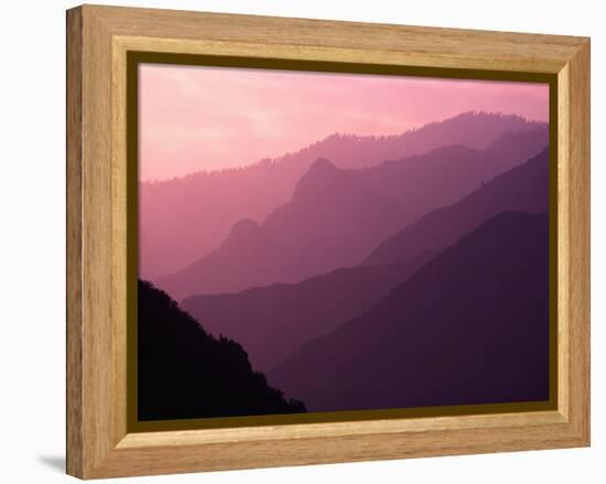 Foggy Hills in Sequoia National Park-Bill Ross-Framed Premier Image Canvas