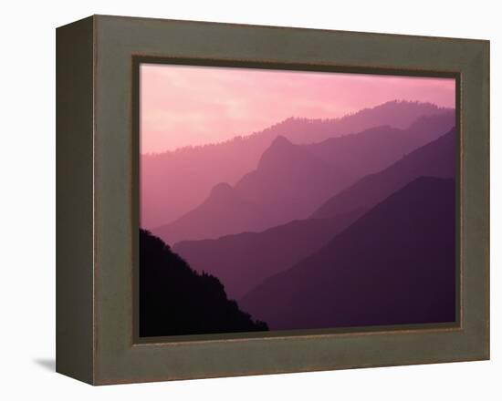 Foggy Hills in Sequoia National Park-Bill Ross-Framed Premier Image Canvas