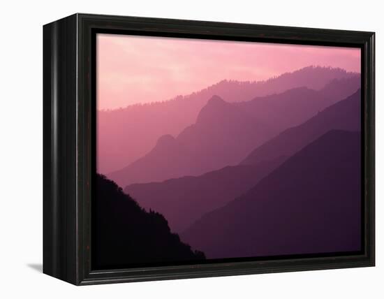 Foggy Hills in Sequoia National Park-Bill Ross-Framed Premier Image Canvas