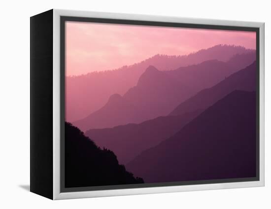 Foggy Hills in Sequoia National Park-Bill Ross-Framed Premier Image Canvas