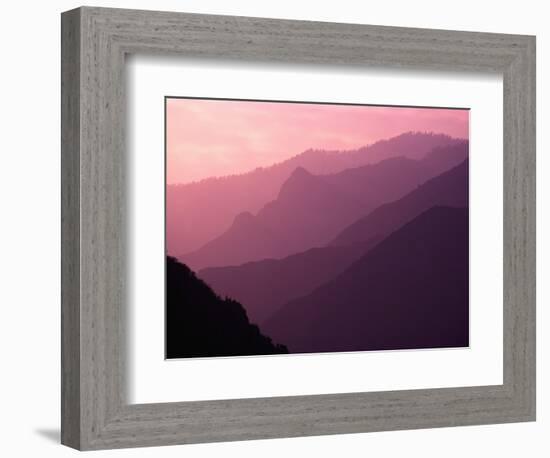 Foggy Hills in Sequoia National Park-Bill Ross-Framed Photographic Print