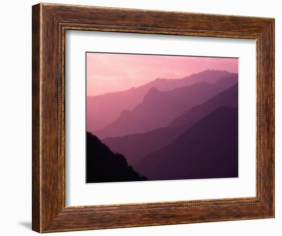 Foggy Hills in Sequoia National Park-Bill Ross-Framed Photographic Print