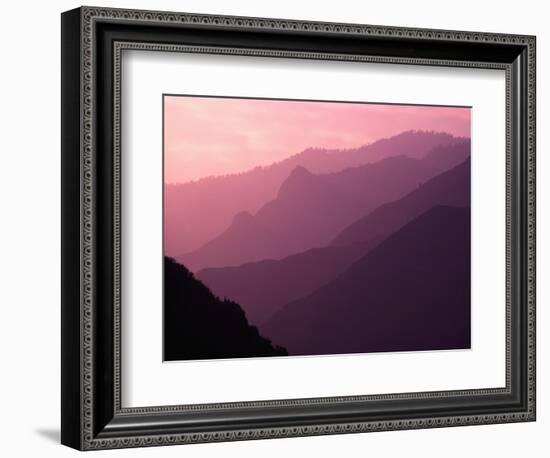 Foggy Hills in Sequoia National Park-Bill Ross-Framed Photographic Print