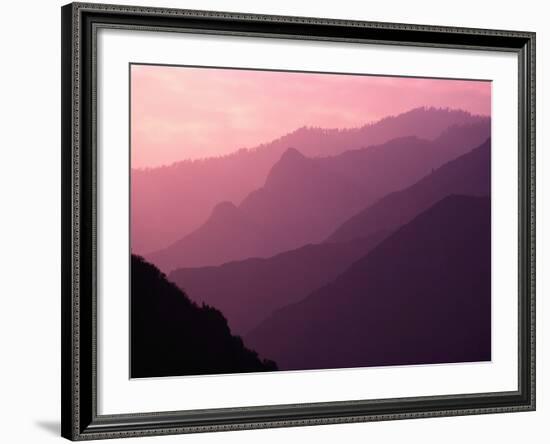 Foggy Hills in Sequoia National Park-Bill Ross-Framed Photographic Print