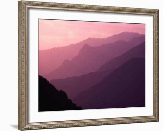 Foggy Hills in Sequoia National Park-Bill Ross-Framed Photographic Print