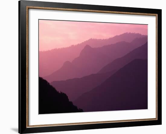 Foggy Hills in Sequoia National Park-Bill Ross-Framed Photographic Print