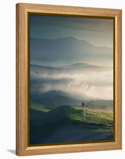 Foggy Landscape in Volterra and a Lonely Tree. Tuscany, Italy-StevanZZ-Framed Premier Image Canvas