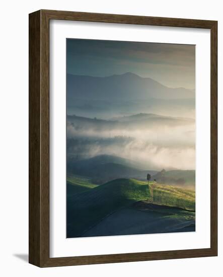 Foggy Landscape in Volterra and a Lonely Tree. Tuscany, Italy-StevanZZ-Framed Photographic Print