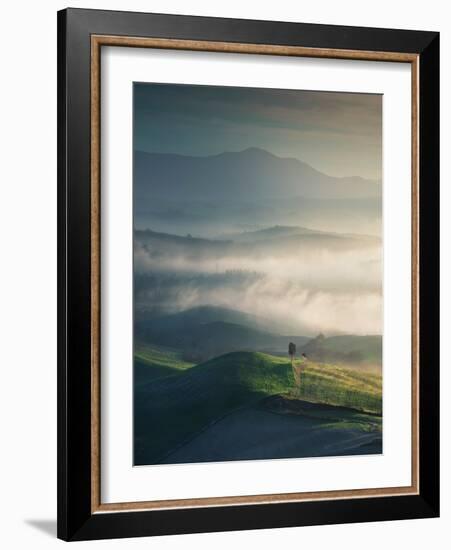 Foggy Landscape in Volterra and a Lonely Tree. Tuscany, Italy-StevanZZ-Framed Photographic Print