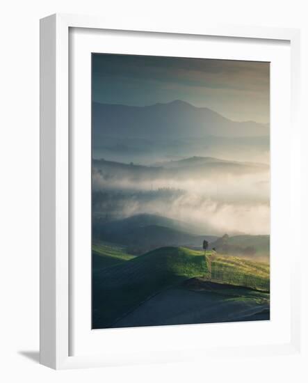 Foggy Landscape in Volterra and a Lonely Tree. Tuscany, Italy-StevanZZ-Framed Photographic Print