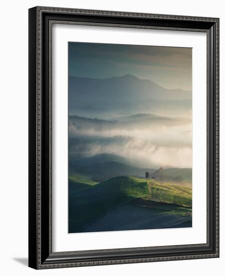 Foggy Landscape in Volterra and a Lonely Tree. Tuscany, Italy-StevanZZ-Framed Photographic Print