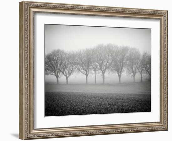 Foggy Landscape-Craig Roberts-Framed Photographic Print