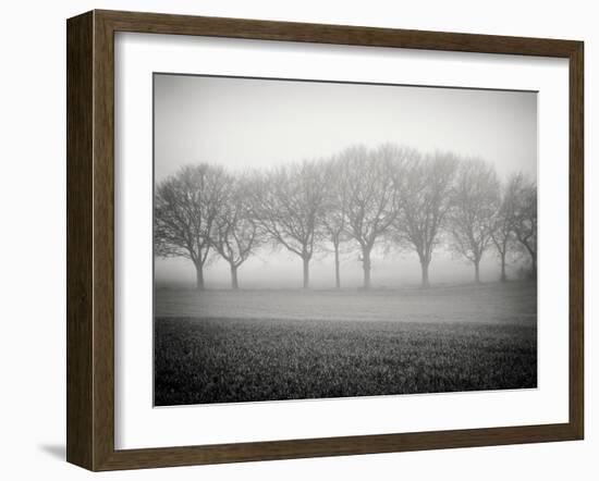 Foggy Landscape-Craig Roberts-Framed Photographic Print