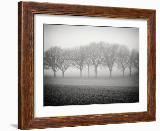 Foggy Landscape-Craig Roberts-Framed Photographic Print