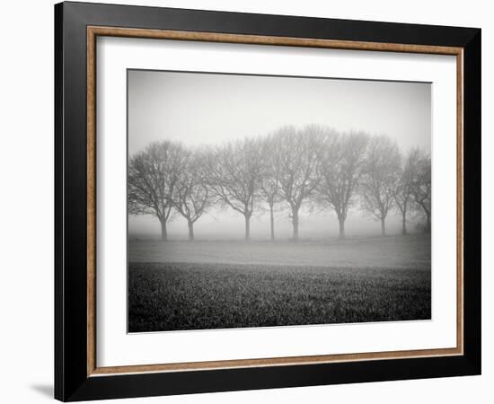 Foggy Landscape-Craig Roberts-Framed Photographic Print