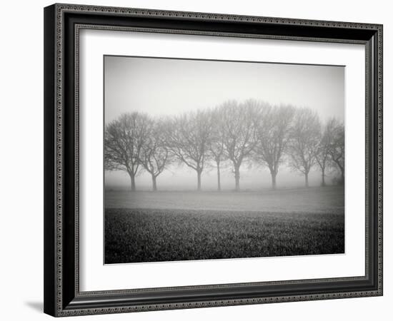 Foggy Landscape-Craig Roberts-Framed Photographic Print