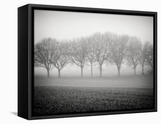 Foggy Landscape-Craig Roberts-Framed Premier Image Canvas