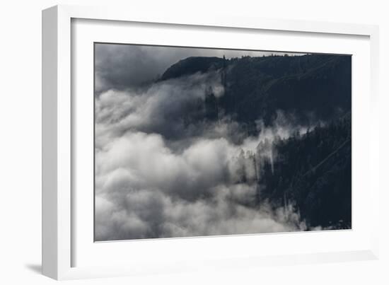 Foggy Mood in the Forest with Sunlight-Niki Haselwanter-Framed Photographic Print