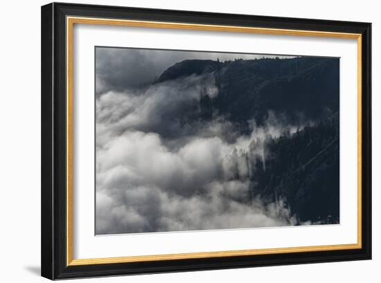 Foggy Mood in the Forest with Sunlight-Niki Haselwanter-Framed Photographic Print