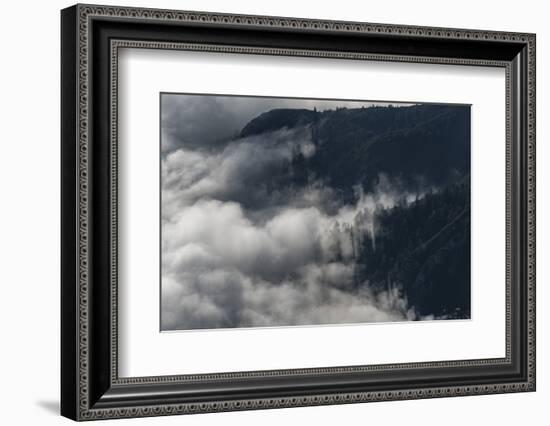 Foggy Mood in the Forest with Sunlight-Niki Haselwanter-Framed Photographic Print