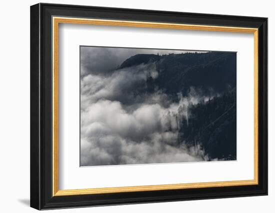 Foggy Mood in the Forest with Sunlight-Niki Haselwanter-Framed Photographic Print