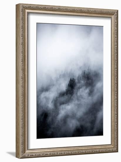 Foggy Morning 3-Mareike Böhmer-Framed Giclee Print