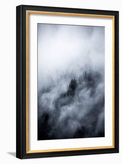 Foggy Morning 3-Mareike Böhmer-Framed Giclee Print