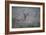 Foggy Morning Buck-Jai Johnson-Framed Giclee Print